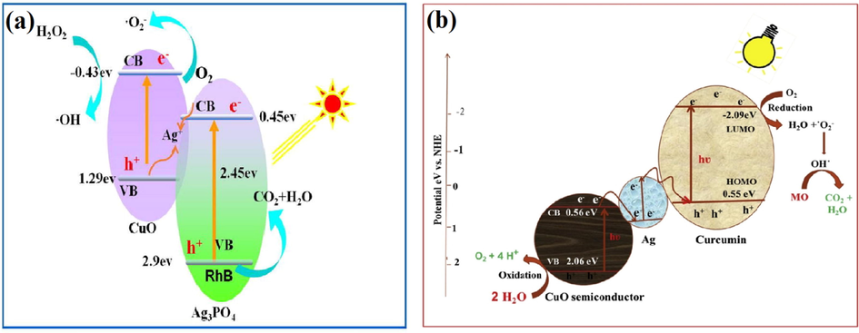 (a) Schematic mechanism growth of Ag3O4/CuO heterostructure in presence of H2O2 under Visible light region and (b) Z-scheme mechanism of photocatalysis activity indulged in photodegradation of methyl orange. (Reprinted with permission from Ref. Ma et al. (2017), Kumar et al. (2019a, 2019b) and copyright with License Id. 4771870019276, 4774840674530).