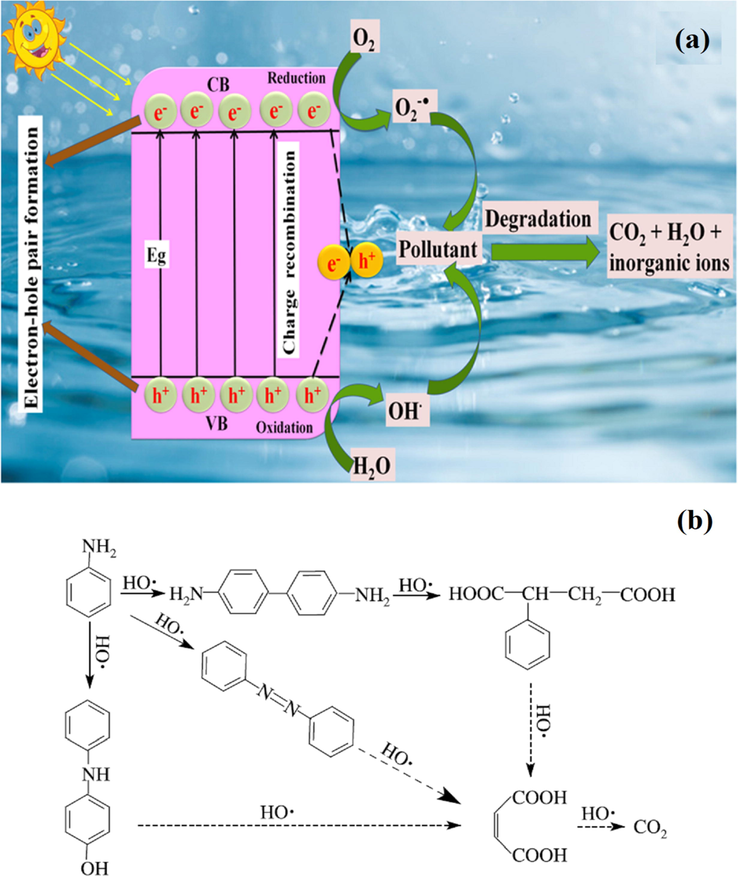 (a) Mechanistic view of semiconductor photocatalyst for photodegradation in water, (b) Proposed reaction pathways for aniline degradation (Reprinted with permission from Ref. Li et al. (2003) and copyright with license Id. 4843541478931).