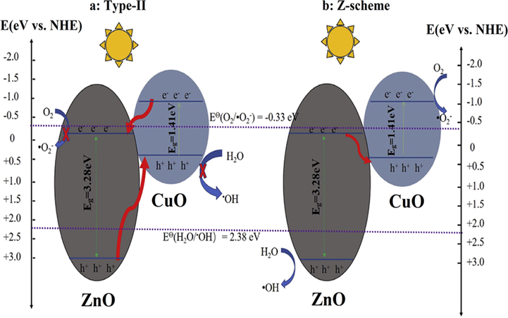 Z-scheme mechanism growth of ZnO/CuO composite under solar light irradiation. (Reprinted with permission from Ref. Ruan et al. (2020) and copyright with License Id. 4774850102079).