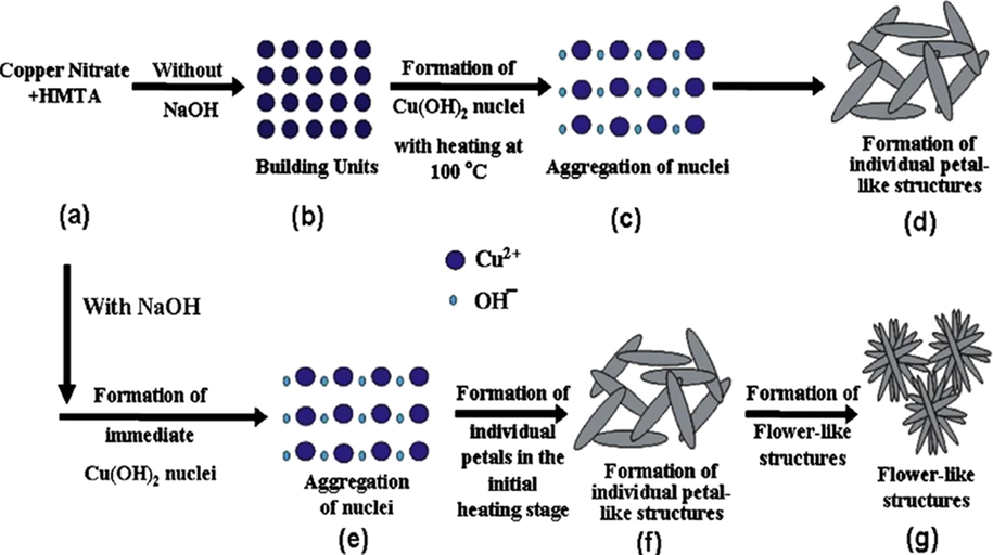 Schematic developed mechanism view of CuO flower shaped nanostructure formation. (Reprinted with permission from Ref. Vaseem et al. (2008) and copyright with American Chemical Society).