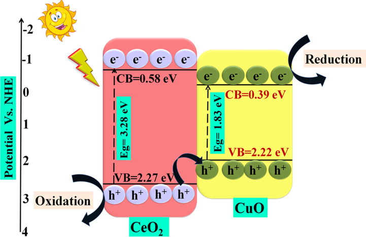 Schematic growth mechanism showing charge transfer pathway during MB photodegradation of CuO/CeO2 nano-heterostructure (Reprinted with permission from Ref. Saravanan et al. (2013) and copyright with licence Id. 4842450945854).