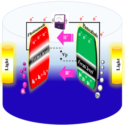 Electricity generation and hydrogen production in PFC.