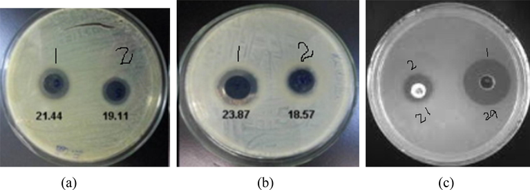 Zone of inhibition measured (mm) for antibacterial activity of composite evaluated on (a) Escherichia. Coli (b) Staphylococcus aureus (c) Ciprofloxacin.