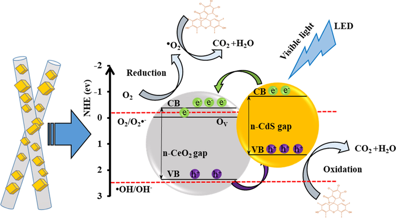 Schematic diagram of photocatalytic degradation of RB by e-h transfer on photocatalysts.