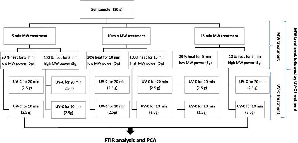 Experimental design for each sample.