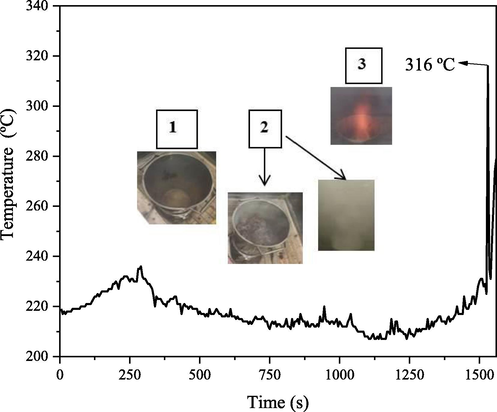 Shows the combustion reaction behavior measured during the synthesize of the ZnO-Ni0.5Zn0.5Fe2O4-Fe2O3 magnetic catalyst.