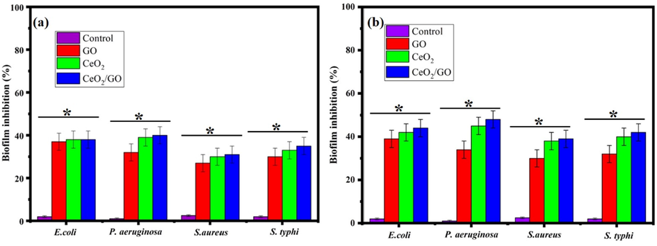 Biofilm inhibition percentage of GO, CeO2 and CeO2/GO nanocomposite (a) Absence of visible light (b) Presence of visible light* indicates a significant increase compared to the respective control (p < 0.05).