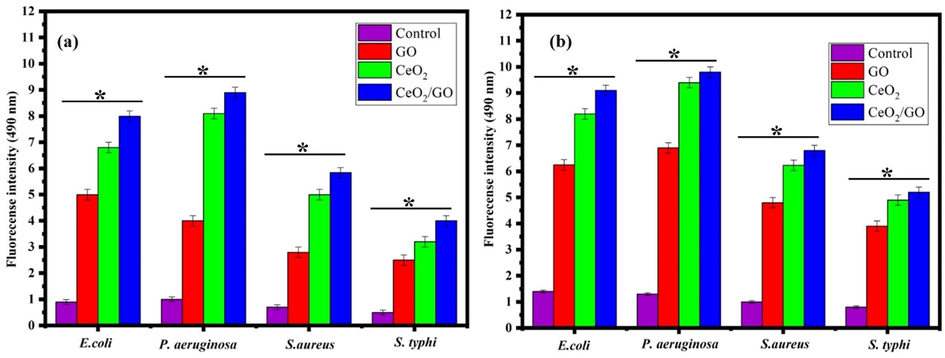 ROS of analysis of GO, CeO2 and CeO2/GO nanocomposite against E. coli, P. aeruginosa, S. aureus and S. typhi, * indicates a significant increase compared to the respectively control (p < 0.05) (a) Absence of visible light (b) Presence of visible light.