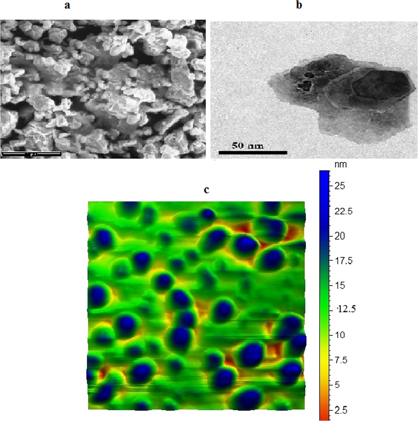 (a) SEM (b) TEM (c) AFM of bentonite-hydroxyapatite nanocomposite.