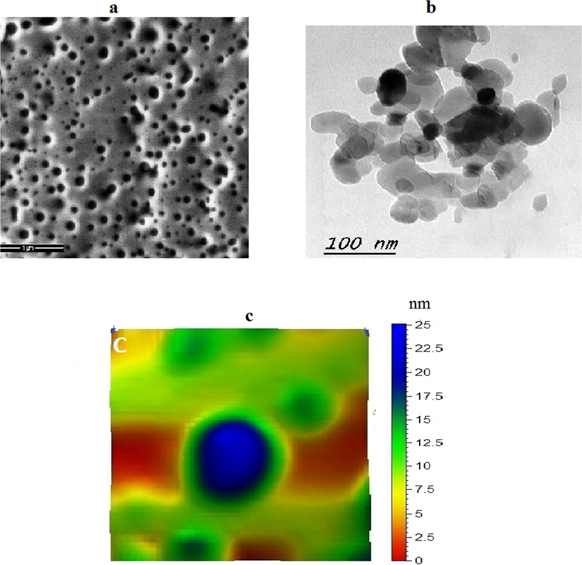 (a) SEM (b) TEM (c) AFM of of nano-hydroxyapatite.