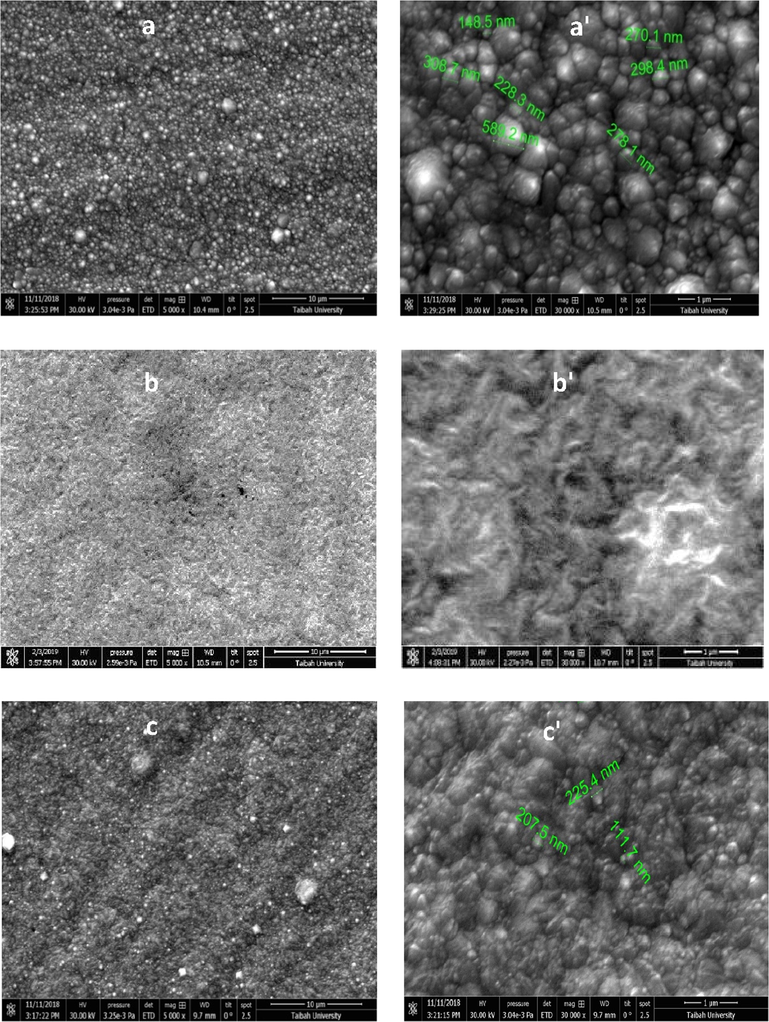 SEM images, high magnification SEM of (a,a') Ni-Co1 alloy (free IL), (b,b') Ni-Co2, alloy (with 1 × 10−5 M [MOFIM]I), (c,c') Ni-Co3 alloy (with 1 × 10−5 M [FPIM]Br).