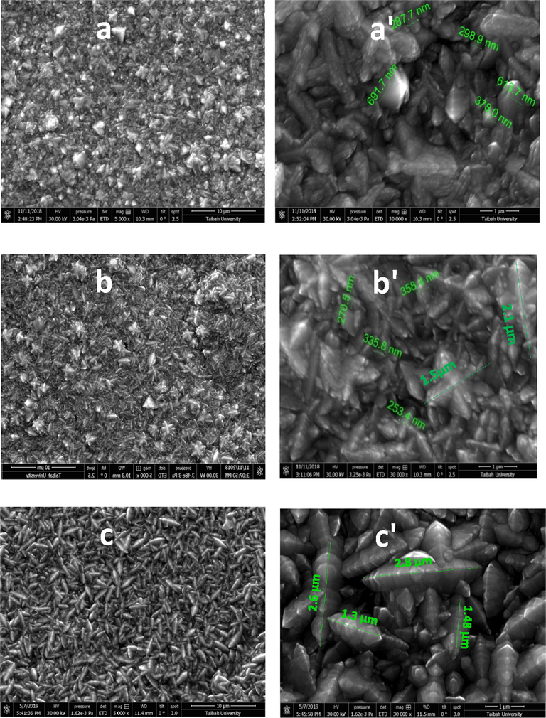 SEM images, high magnification SEM of (a,a') Ni-Co4 alloy (free IL), (b,b') Ni-Co5, alloy (with 1 × 10−5 M [MOFIM]I), (c,c') Ni-Co6 alloy (with 1 × 10−5 M [FPIM]Br).