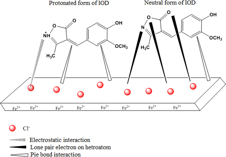 Schematic representation of inhibition mechanism of mild steel by IOD.