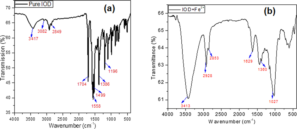 FT-IR spectra of (a) Pure IOD (b) IOD adsorbed on MS surface (IOD + Fe2+).