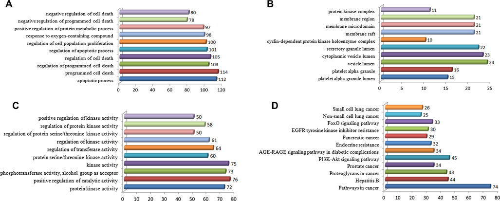 GO and KEGG analysis of ‘guava leaf – lung cancer’ interactive gene with P-values from small to large. (A) GO biological process analysis of ‘guava leaf – lung cancer’ interactive gene with P-values from small to large. (B) GO cell components analysis of ‘guava leaf – lung cancer’ interactive gene with P-values from small to large. (C) GO molecular function analysis of ‘guava leaf – lung cancer’ interactive gene with P-values from small to large. (D) KEGG analysis of ‘guava leaf – lung cancer’ cross-gene.