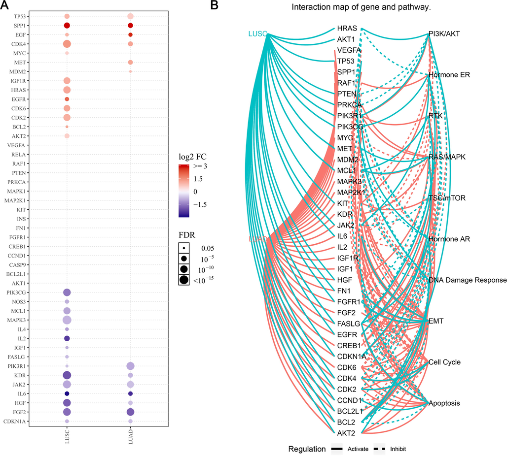 The expression and pathways activity analysis of guava leaf constituent target genes in the PI3K-Akt signaling pathway. (A) The mRNA expression profile of genes. The dots represent the fold change; the blue color indicates downregulation while the red color indicates upregulation. The size of the dot is proportional to the expression foldchange (FC). (B) Pathway activity analysis.