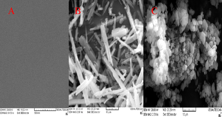 SEM images for Bare GCE (A) CoTAPhPcNP-GCE (B) NDCNDs-GCE (C).