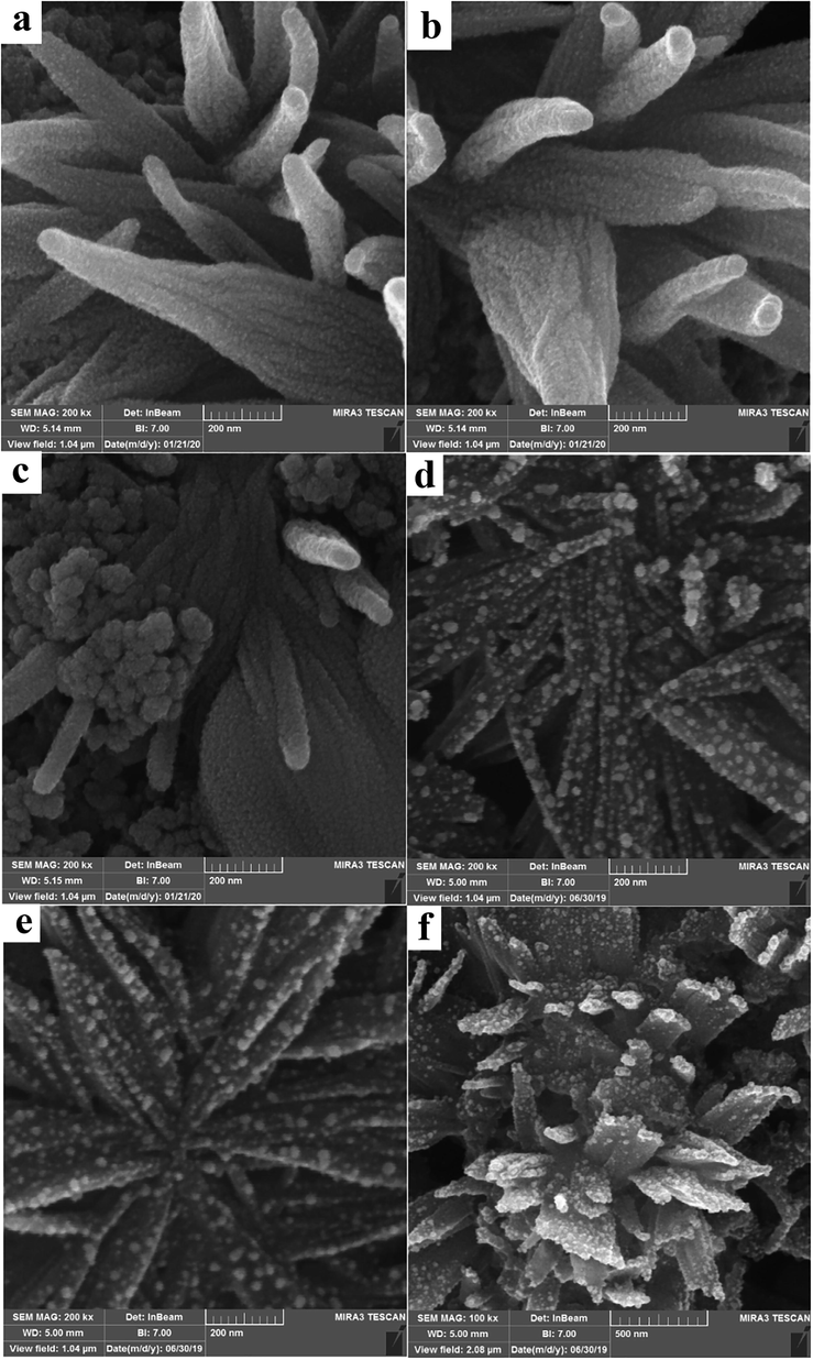 The SEM images of the sample, S1 (a), S3 (b), S4 (c), S6 (d), S7 (e) and S9 (f).