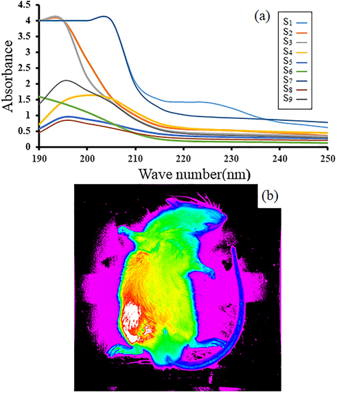 The UV–vis absorption spectrum of the LiY(MoO4)2 QD/BioMOFs (a) and in vivo image study of sample1 in left leg muscle of mice 1 min after injection (b).