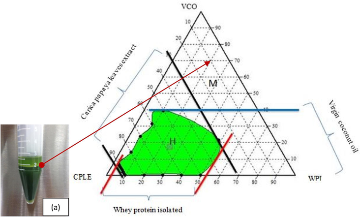 Ternary phase diagram for VCO/WPI/CPLE. The letter H indicates the homogeneous region and the letter M shows the multi-phase region. (a) The inset (bottom left) shows the pictorial view of an instable formulation at the multi-phase region M after 15 mins of vortexed and centrifuged at 4000 rpm (25 ± 2 °C).