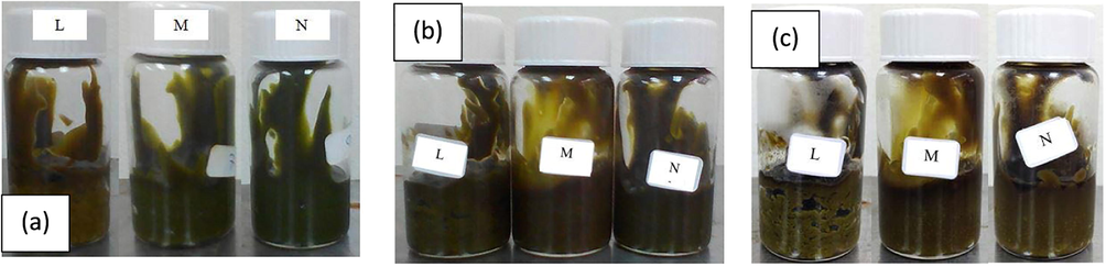 The pictorial representatives of creamy formulations of sample L, M and N stored for 24 hrs at (a) 4 °C; (b) 28 °C; (c) 4 °C/45 °C.