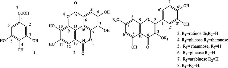 Chemical structures of compounds 1–8.