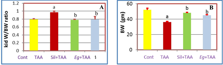 Effects of pretreatment with Eg and Sil, A: On Kid W/BW of TAA treated rats, B: On BW of TAA treated rats.