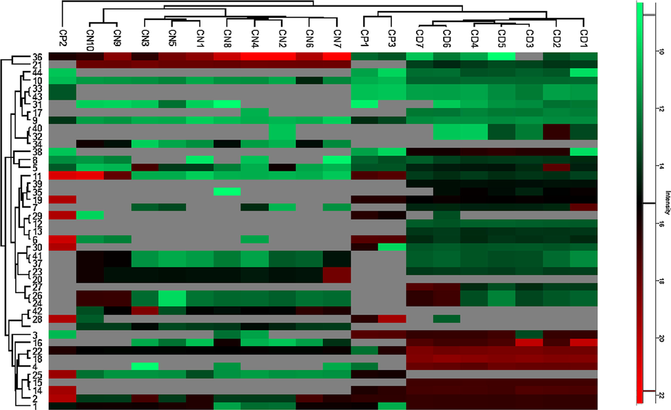 Heatmap cluster of identified compounds in all samples.