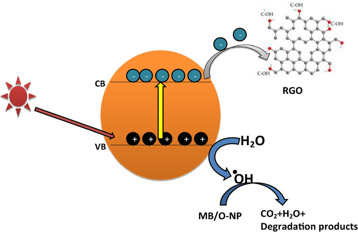 Schematic representation of MB/O-NP degradation mechanism using NiWO4-RGO Nanocomposite.