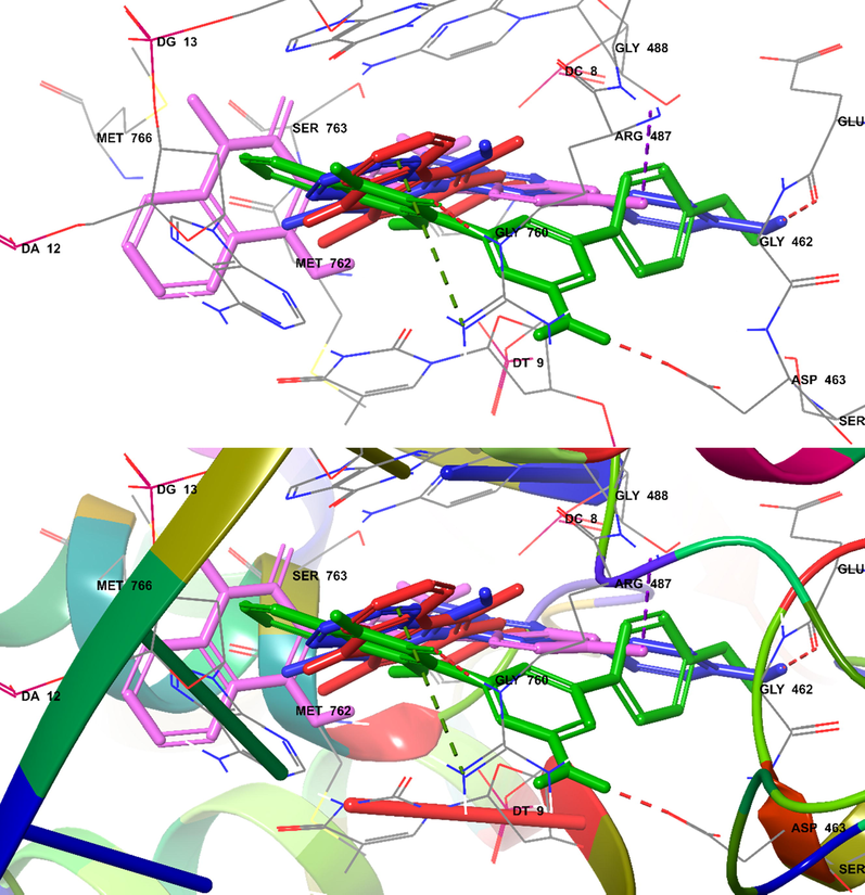 Docked (superimposed) poses showed ellipticine (red), 6b (magenta), 6e (green), 6f (blue).