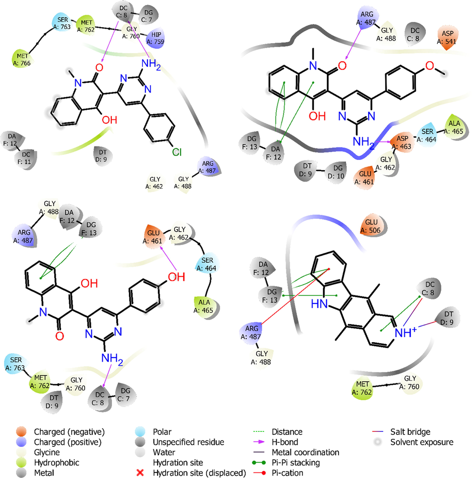 Amino acids involved in intermolecular interactions of ligands 6b (top-left), 6e (top-right) 6f (bottom-left), and ellipticine (bottom-right) with human topoisomerase IIα in complex with DNA (5GWK).