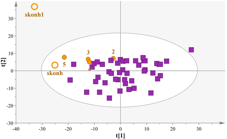 PCA model comparing cow milk samples with adulterated products, N = 52, A = 2, R2X(cum) = 0,87, Q2(cum) = 0,59 (boxes: Cow samples, circles: Cow milk samples with milk powder,