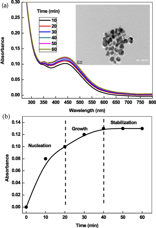 UV–visible spectra of AgNPs and their TEM images prepared by ascorbic acid in presence of CTAB (A) and reaction-time profiles (B).