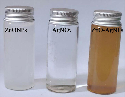 Optical images of ZnO, AgNO3 and ZnO-AgNPs at room temperature.