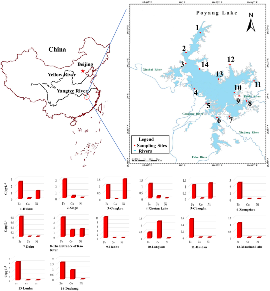 Sampling sites of water in Poyang Lake and concentration of iron, cobalt, and nickel at sampling sites. Notes 1-Hukou, 2-Xingzi, 3-Gangkou, 4-Xiaotan Lake, 5-Changhu, 6-Zhongzhou, 7-Dahu, 8-The Entrance of Rao River, 9-Lianhu, 10-Longkou, 11-Hushan, 12-Maoshan Lake, 13-Lunhu, 14-Duchang.