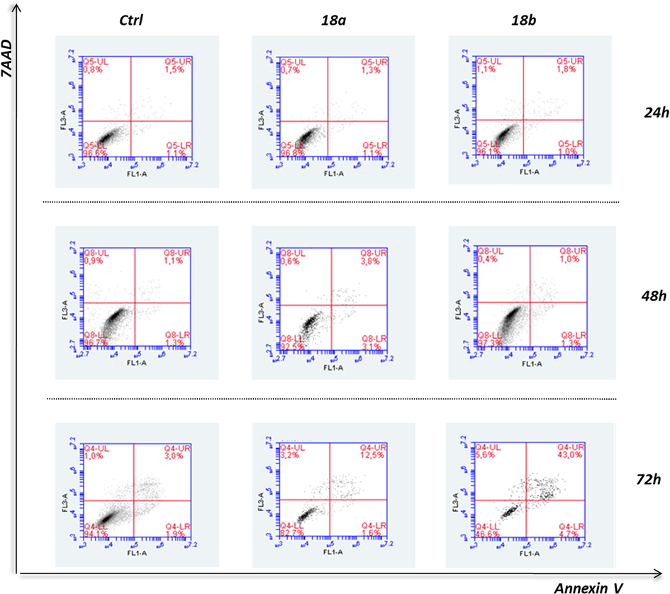 Flow cytometric analysis of DNA content. Early or late apoptosis and necrosis were estimated in PC-3 cells after 24-, 48- and 72-h exposure to the compounds 18a and 18b, versus control cells (Ctrl), based on the AnnexinV − 7AAD staining. Representative graphs illustrate the overall apoptosis activated upon each treatment, on an incubation-time basis.