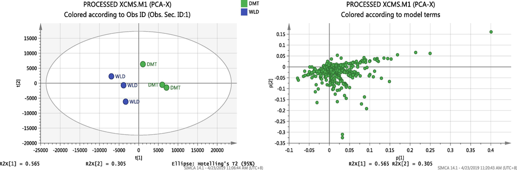 Score and scattered plot of the observation (PCA) showing all the variables from the two EOs groups (DMT and WLD) have good separation by PC1 suggesting that the two groups might share high similarity in metabolites from the scattered plot.