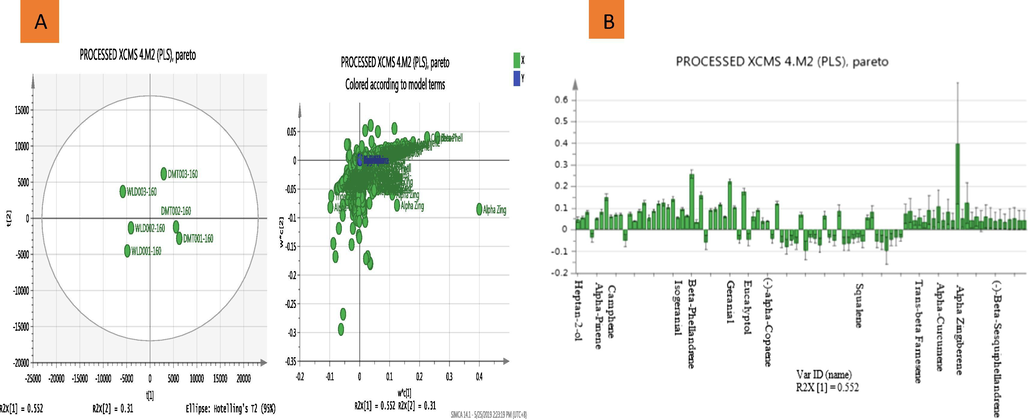 Metabolomic analysis of domestic and wild EOs. (A) Score and scattered plot of the observation (PLS) showing all the variables from the two EOs group (DMT and WLD) have good separation by PC1. Suggesting that the two groups might share high similarity in metabolites from the scattered plot and (B) Loading column plot (PLS model) of simplified relevant metabolites in a threshold of VIP > 1 representing a total of 13 discriminating metabolites.