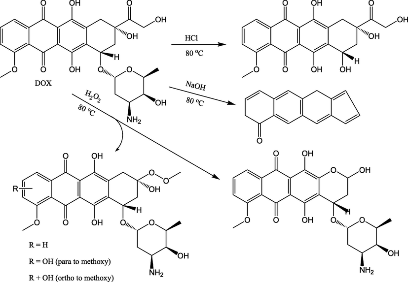 Suggested alkaline (Štenglová Netíková et al., 2017), acidic (Wassermann and Bundgaard, 1983) and oxidative degradation (Kaushik and Bansal, 2015) pathways for the DOX.