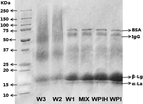 SDS-PAGE patterns of native WPI, WPIH, MIX and different types of Maillard reaction products (MRPs).