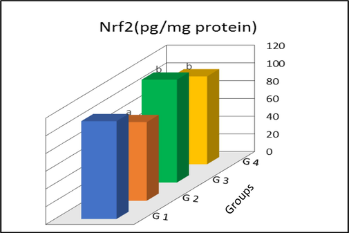 Nuclear factor erythroid 2-related factor 2 (Nrf2) levels in liver tissues of control and treated rats. G1, control; G2, AuNP treated rats; G3, I3C treated rats; G4, AuNP + I3C treated rats. Data are presented as mean ± SD. aSignificantly different (p < 0.01) compared to G1 group bSignificantly different (p < 0.01) compared to G2 group.