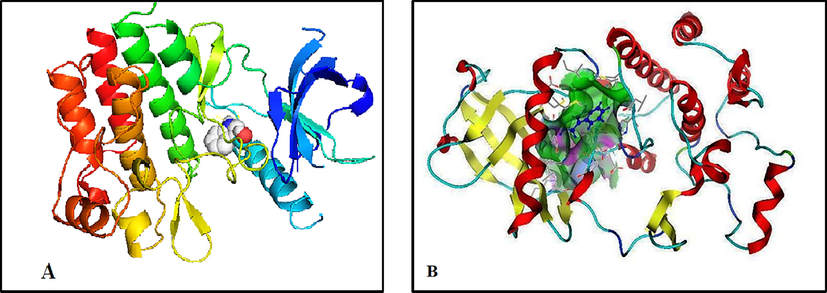 3D plot interaction of indole-3-carbinol ligand with liver protein LT3 (PDB) code: 4RT7) receptor by Auto dock (A) and MOE (B) methods.