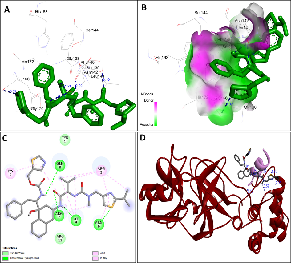 A: showing Ritonavir (green color stick pattern) interaction with COVID-19 Main protease (PDB ID: 6LU7) amino acid residues (grey color stick pattern) involved in hydrophobic interaction. Blue dotted lines represents hydrogen bonds; B: showing COVID-19 protease (PDB ID: 6LU7) pocket that accommodated the Ritonavir (green color stick pattern); C: 2D visualization of TP interaction with Ritonavir; D- showing TP (pink color ribbon pattern) conjugated Ritonavir complex (grey color stick pattern) interaction with COVID-19 protease (PDB ID: 6LU7) (maroon color ribbon pattern). Blue dotted lines are showing hydrogen bonds formation.