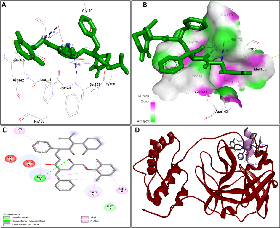 A: showing Lopinavir (green color stick pattern) interaction with COVID-19 Main protease (PDB ID: 6LU7) amino acid residues (grey color stick pattern) involved in hydrophobic interaction. Blue dotted lines represents hydrogen bonds; B: showing COVID-19 protease (PDB ID: 6LU7) pocket that accommodated the Lopinavir (green color stick pattern); C: 2D visualization of TP interaction with Lopinavir; D: showing TP (pink color ribbon pattern) conjugated Lopinavir complex (grey color stick pattern) interaction with COVID-19 protease (PDB ID: 6LU7) (maroon color ribbon pattern). Blue dotted lines are showing hydrogen bonds formation.