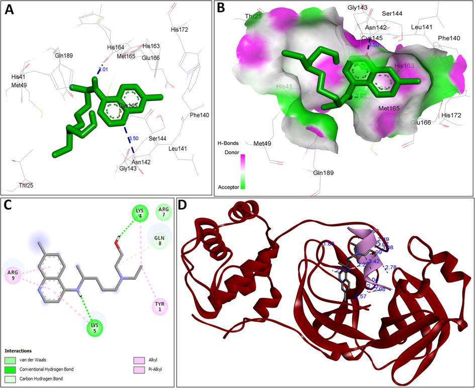 A: showing hydroxychloroquine (green color stick pattern) interaction with COVID-19 Main protease (PDB ID: 6LU7) amino acid residues (grey color stick pattern) involved in hydrophobic interaction. Blue dotted lines represents hydrogen bonds; B: showing COVID-19 protease (PDB ID: 6LU7) pocket that accommodated the hydroxychloroquine (green color stick pattern); D: 2D visualization of TP interaction with hydroxychloroquine; D: showing TP (pink color ribbon pattern) conjugated hydroxychloroquine complex (grey color stick pattern) interaction with COVID-19 protease (PDB ID: 6LU7) (maroon color ribbon pattern). Blue dotted lines are showing hydrogen bonds formation.