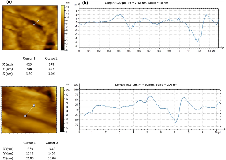 (a) AFM and (b) thickness profile of ZnC-bio and ZnC-chem (from top to bottom).