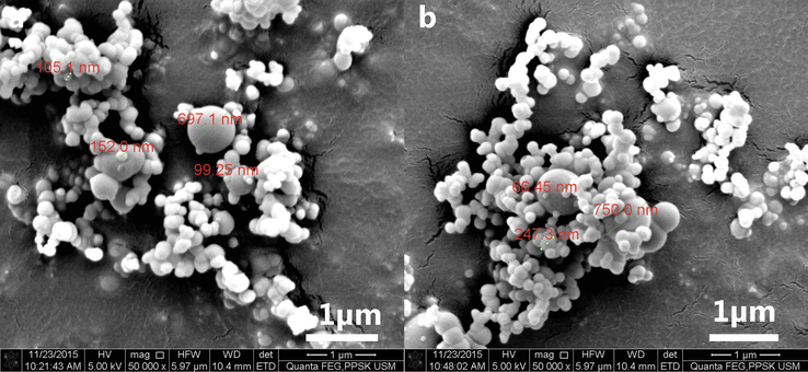 FESEM image of silica particle resulting from acidic precipitation of sodium silicate using. a 10 M sulphuric acid. b 5 M acetic acid (direct heating on hot plate). Images revealed spherical silica particle with a wide range of size distribution (10 nm – 700 nm).