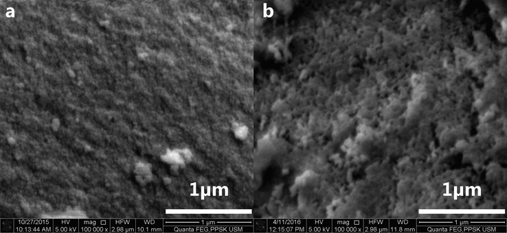 FESEM images of silica nanoparticles resulting from acidic precipitation of sodium silicate solution using. a 6 M sulphuric acid. b 10 M acetic acid.