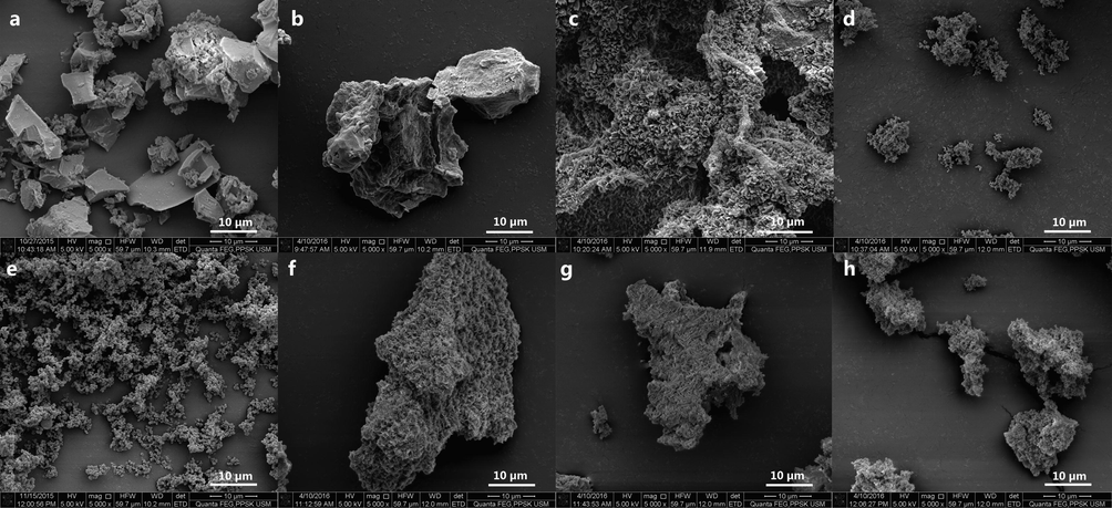 FESEM images of silica nanoparticle resulting from the precipitation of sodium silicate solution (SS) and solvent (Ace: Acetone; Eth: Ethanol) mixtures at varied ratios† using 10 M acetic acid. †a SS: Ace (1.0:0.0). b SS: Ace (0.9:0.1). c SS: Ace (0.8:0.2). d SS: Ace (0.77:0.23). e SS: Ace (0.71:0.29). f SS: Eth (0.9:0.1). g SS: Eth (0.8:0.2). h SS: Eth (0.77:0.23).