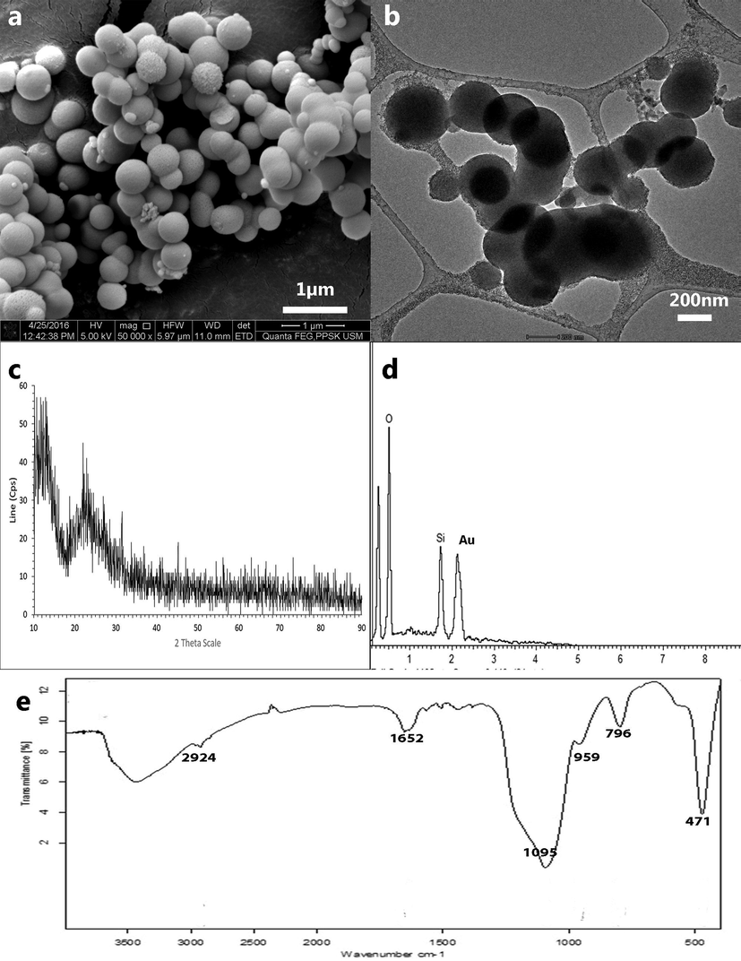 Microscopic image of silica nanoparticle synthesised using final parameters† of precipitation viewed under. a FESEM. b HRTEM. Images revealed spherical porous particles with a smooth surface and homogenously dispersed. †Sodium silicate solution and acetone mixture (0.71:0.29) precipitated with 5 M acetic acid.